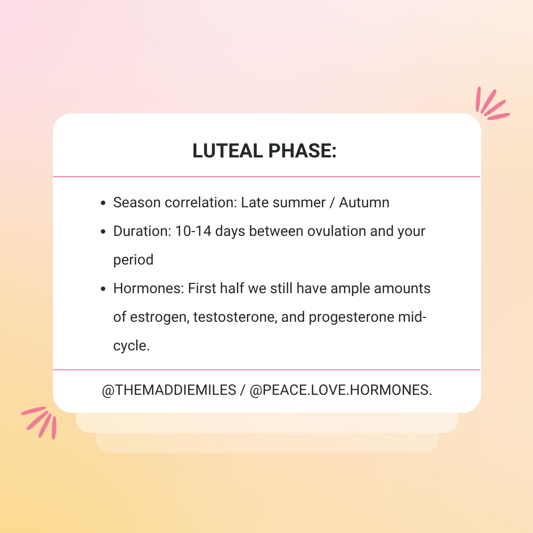 Luteal Phase / Everything you need to know to prevent PMS! – Peace Love  Hormones