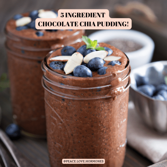 5 Ingredient Chocolate Chia Pudding!