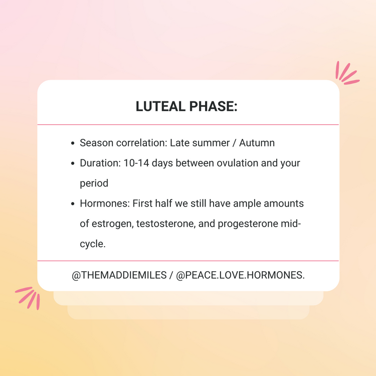 Luteal Phase / Everything you need to know to prevent PMS! Peace Love Hormones