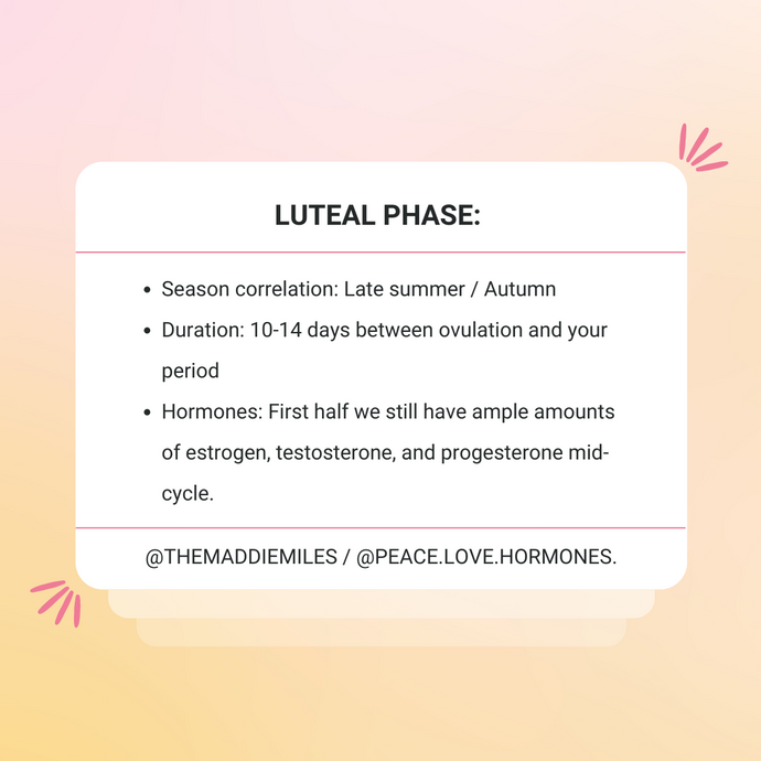 Luteal Phase / Everything you need to know to prevent PMS!