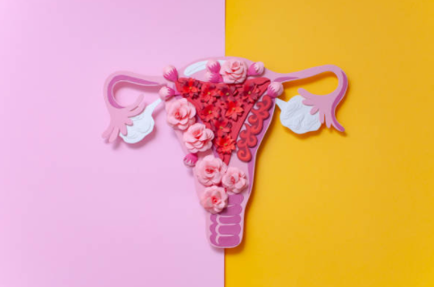 Healing Your Endometriosis, Naturally