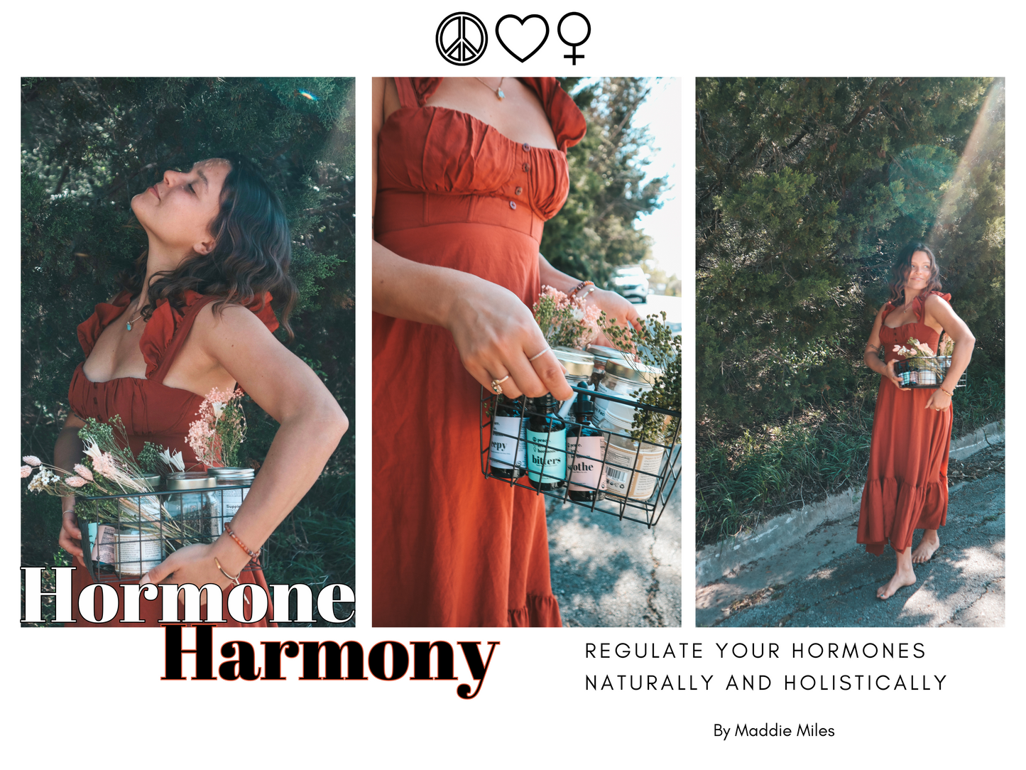 Hormone Harmony E-Book