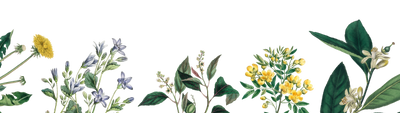 Decorative botanical elements