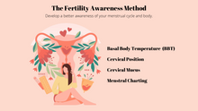 Load image into Gallery viewer, Menstrual Cycle Tracker eBook
